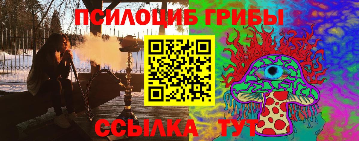 Галлюциногенные грибы мицелий  Псилоцибиновые грибы GOLDEN TEACHER  продажа наркотиков  Вход с VPN  Малгобек 
